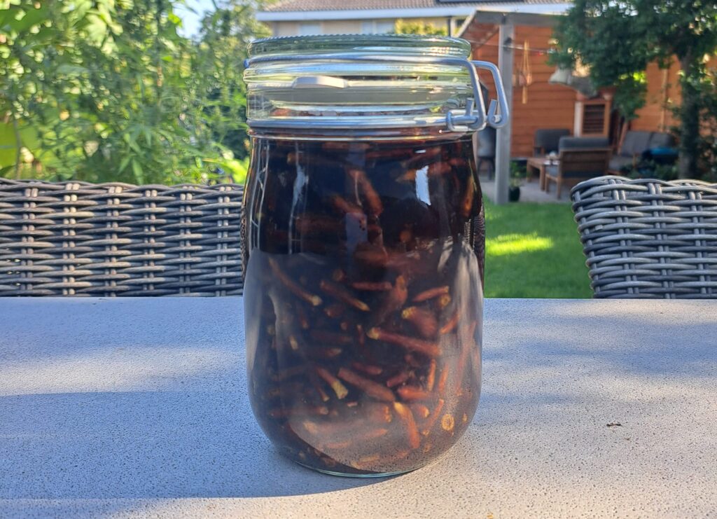 dennenknop tinctuur in een pot
